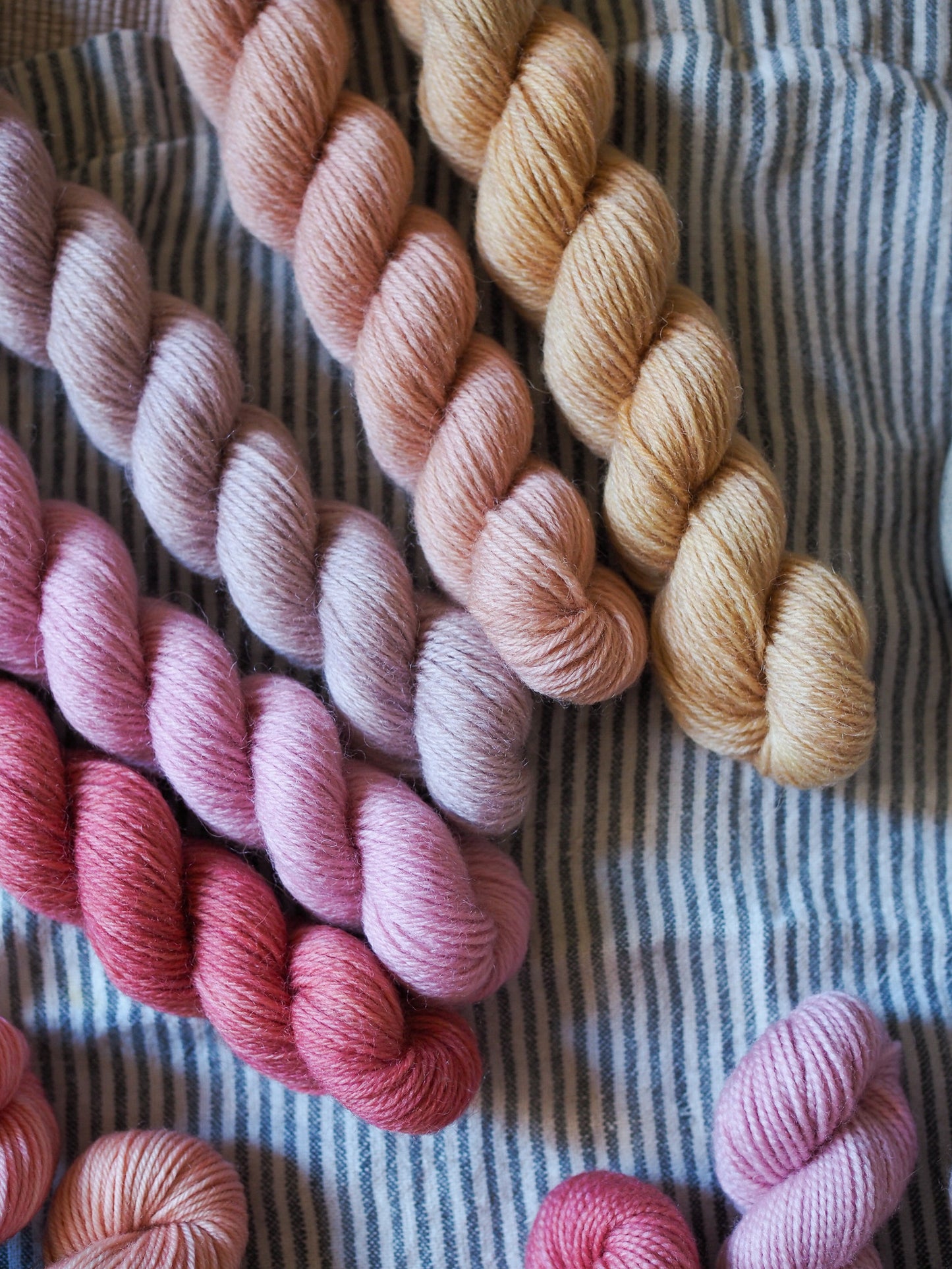 Hand-dyed 5 mini-skein yarn set by Snail Yarn in botanical shades of dusty pink, peach, and mauve, inspired by English roses. High-quality Merino and Peruvian wool for knitting and colorwork.