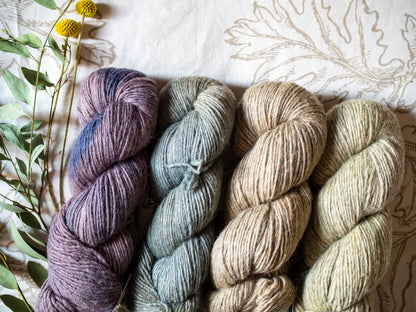 Individual skeins - BFL worsted weight - 200 Meters