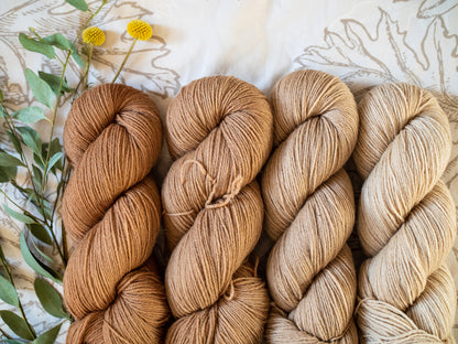 Sweater/Fade Bundle 6 - Fingering weight - 1600 Meters